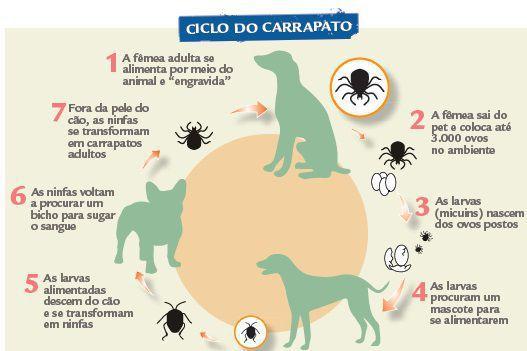 Imagem de Neopet Carrapatos E Pulgas Cães acima de 40 kg