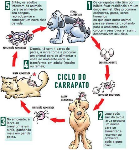 Imagem de Neopet Carrapatos E Pulgas Cães acima de 40 kg